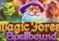 Magic Forest: Spellbound Slot Bonus at Everygame Casino — “Double the Magic, Double the Wins”