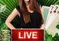 Crack the Vault with the Progressive Live Blackjack Promotion at Wild Casino