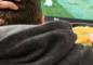 Reasons Why World Cup Sports Betting and Drinking Don’t Mix