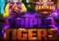 Unleash the Beast with the Triple Tigers Slot Bonus at Everygame Casino