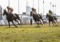 Racetracks In Canada For Betting: Pick The Most Fitting Tracks!