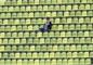 World Cup 2026 Stadium Map Facts: We Watch And Stand In Awe!