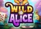 Plunder Wonderland with the Exclusive WILD Alice Slot Bonus at Everygame