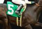 Beat the Vig with the Daily Cashback on Horse Races at betOnline