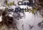 League of Legends Classic: A Bettor’s Preview: A Future Trajectory