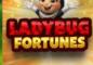 Charm the Vault with the Exclusive Ladybug Fortunes Slot Bonus at Everygame Casino Classic