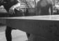 Why Betting on Table Tennis is a Sports Bettor’s Hidden Gem