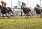 How to Make a Profit by Betting on the 2026 Breeders Cup