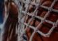 Cash In on the Hardwood with Monthly NBA Free Bets at Everygame Sportsbook