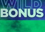 Wild Bonus at Omni Slots Casino: Get 20% – 80% Bonus