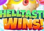 New Shelltastic Wins Slot at Everygame Casino: Win Up to $7,000