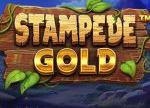 Stampede Gold 10 Free Spins at Everygame Poker