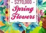 Step into Spring with the Ultimate Casino Tournament at Everygame – Bloom into Big Wins!