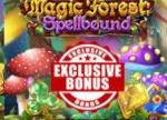 Exclusive Magic Forest: Spellbound Bonus at Everygame Casino — “Double the Magic, Double the Cash”