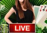 Crack the Vault with the Progressive Live Blackjack Promotion at Wild Casino