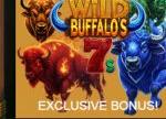 Run with the Herd using the WILD BUFFALO’s 7s Slot Bonus at Everygame Casino Classic