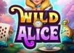 Plunder Wonderland with the Exclusive WILD Alice Slot Bonus at Everygame