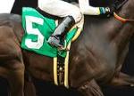 Beat the Vig with the Daily Cashback on Horse Races at betOnline
