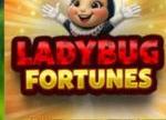 Charm the Vault with the Exclusive Ladybug Fortunes Slot Bonus at Everygame Casino Classic