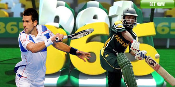 Bet365 Sportsbook Wants You To Ramp Up Your Revenue in March