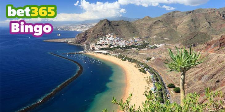 There’s Still Time to Win a Free Trip to the Canary Islands with Bet365 Bingo!