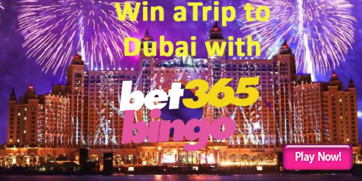 Dubai Or Not Dubai Heads Up the Action At Bet365 Bingo
