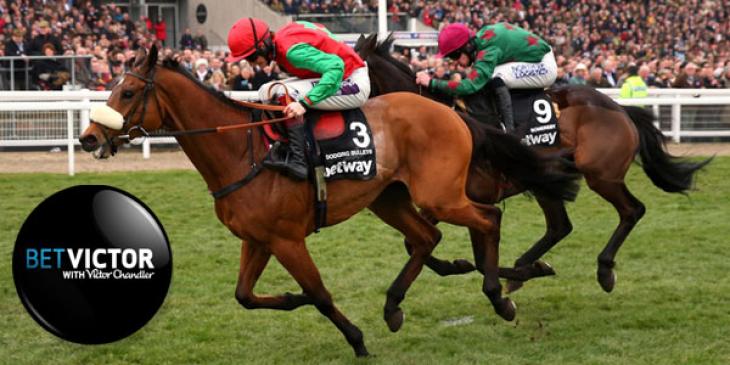 Earn More Money Betting on the BetVictor Gold Cup!