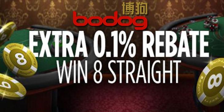 Get a 0.1% Rebate and a Cash Bonus with Bodog88 Casino