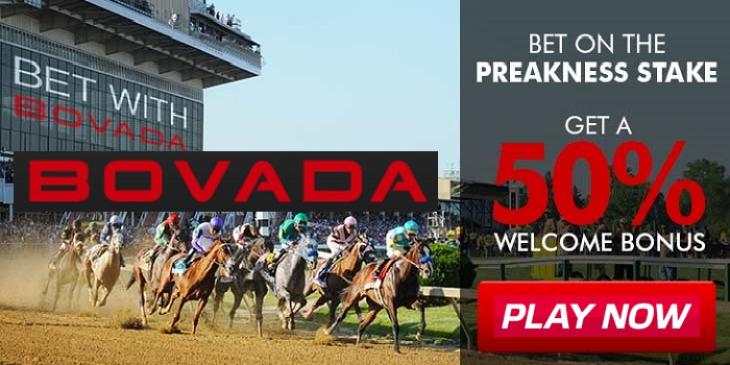 Wager on Preakness Stakes for the Best Odds at Bovada Sportsbook