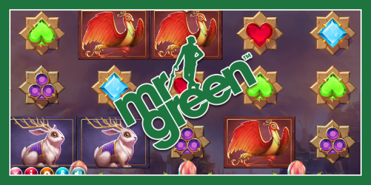 Win Casino Cash Prizes in March at Mr Green’s