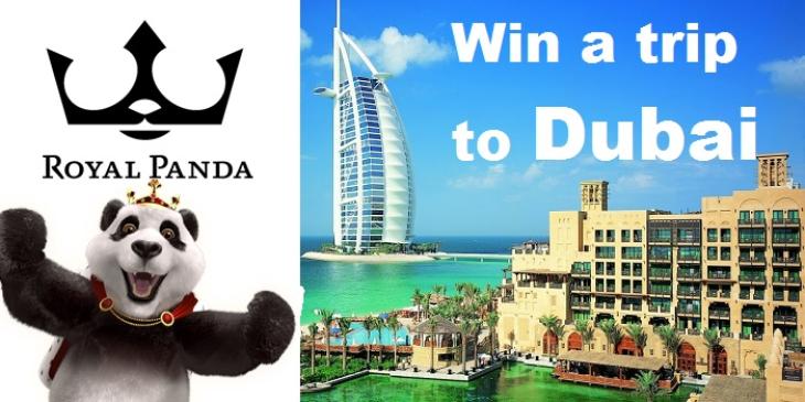 Win a Trip to Dubai by Royal Panda Casino