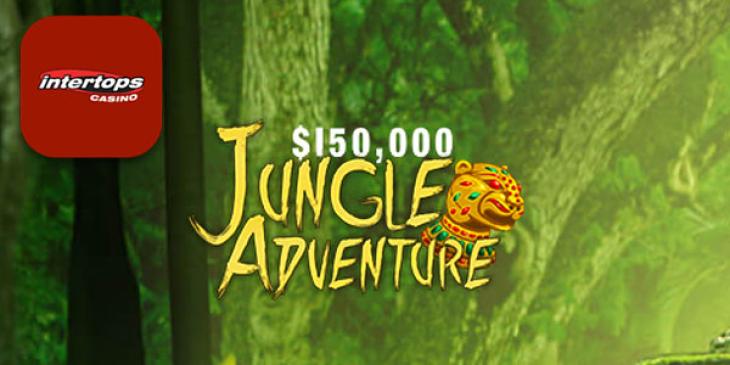 Weekly Online Casino Cash Prizes are Available at Intertops Casino!