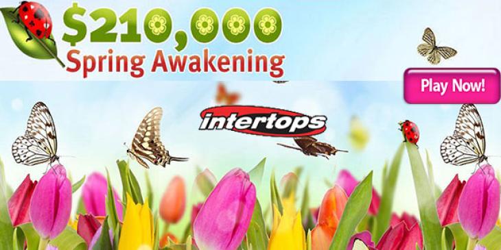 Get Your Share of $210,000 at Intertops Casino