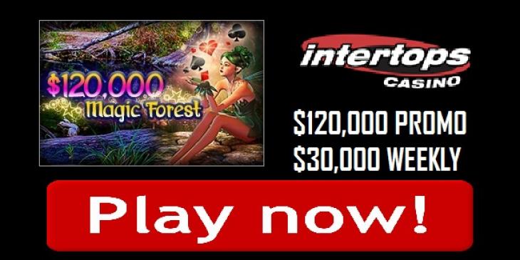 Find Part of USD 120,000 in the Magic Forest Event at Intertops Casino!