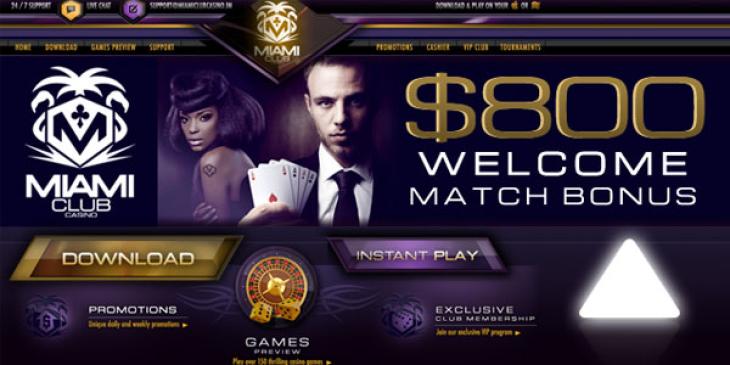 Win USD 500 on the Amanda Panda Slot Freeroll