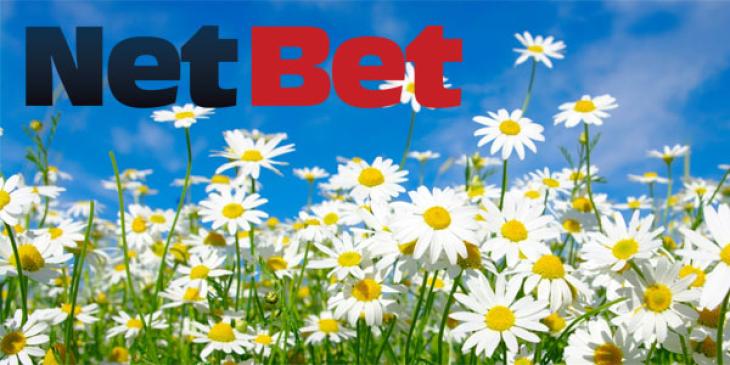 The Spring Challenge at NetBet Casino is Offering Free Spins Every Week of April