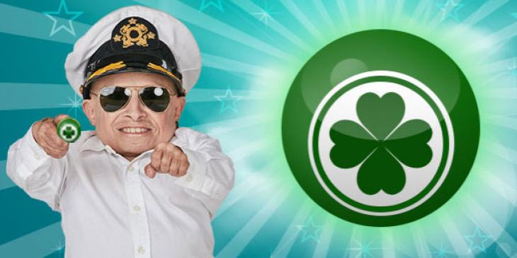 Play Free Online Bingo for a Week at bgo Bingo!