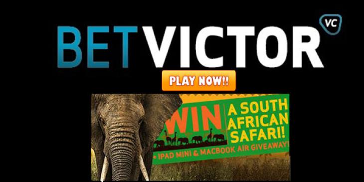 Let BetVictor Casino Send You To a South African Safari