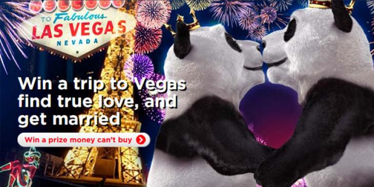 Win a Free Valentine’s Day Trip to Las Vegas with Royal Panda Casino