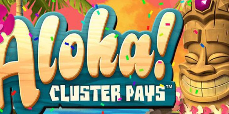 Play Aloha! Cluster Pays at Casino Room and you could win a trip to Hawaii!