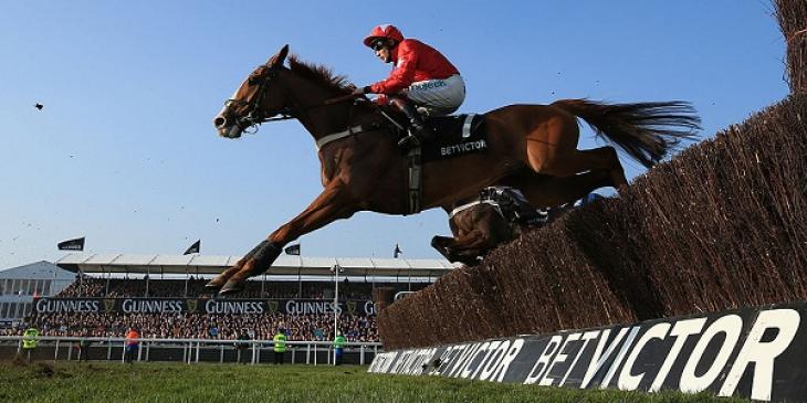 Bet on Cheltenham Races Thanks to BetVictor’s Free Bet Offers