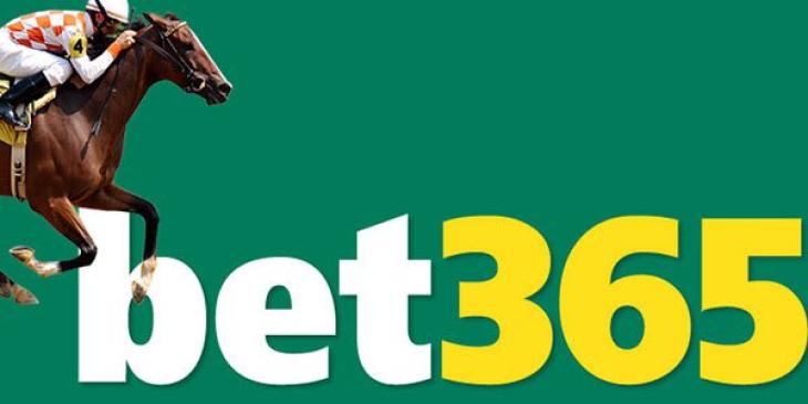Bet365 Sportsbook Offers Horseracing Risk Free Bets Live Channel 4 Television!