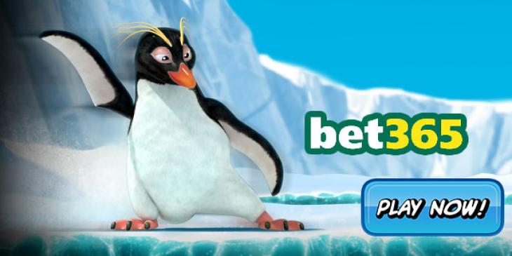 Take a Dive With The Penguins at Bet365 Casino and enjoy the 5% Reload Weekend