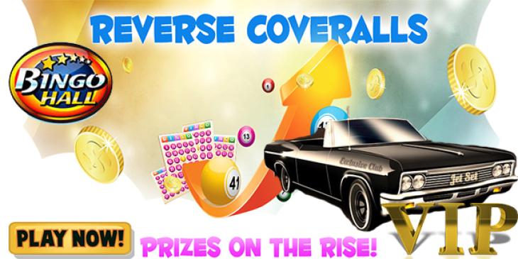 Awesome Benefits at Bingo Hall’s VIP Room