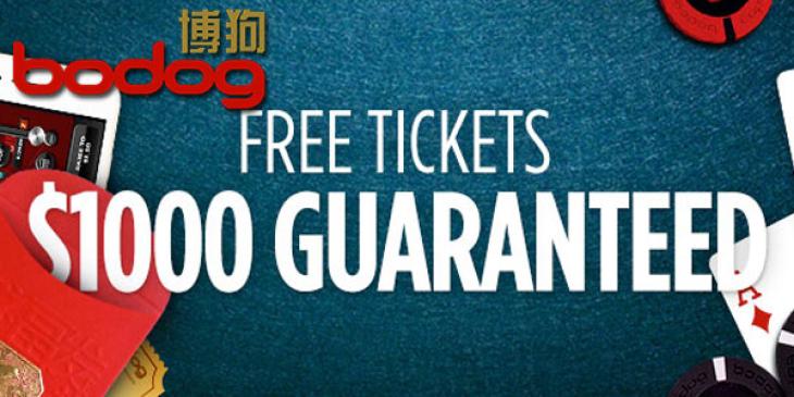 Bodog88 Casino Dishes out $1000 Daily for Valentine’s