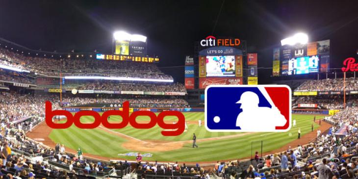 Bet on Baseball Games Online at Bodog Sportsbook