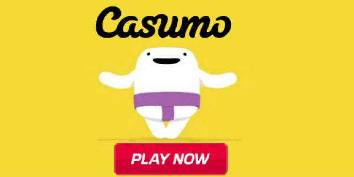 Join the Online Social Casino Challenges of Casumo