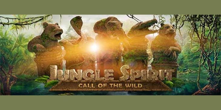 Win up to 1779 Free Spins Using Your Deposit Bonus Codes in 2017 at Spinson Casino