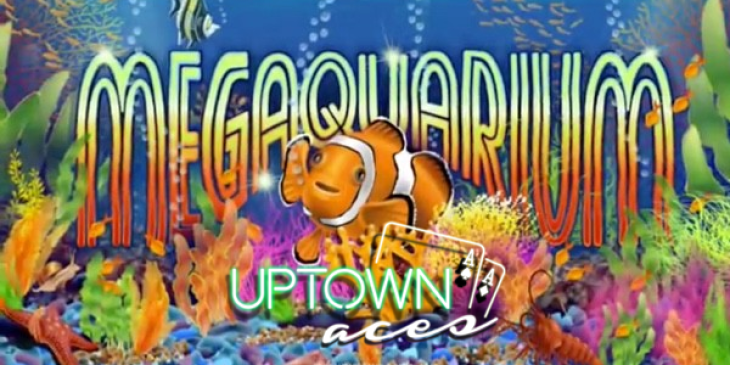 Claim 33 Megaquarium Free Spins at Uptown Aces Casino