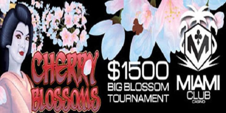 Win $1,000 Main Prize at the Miami Club Casino Tournament